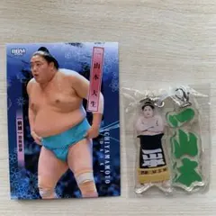 Item thumbnail for item 73151056-43e7-416b-b2d4-f1475a52c76d