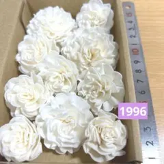 ソラフラワー　1996