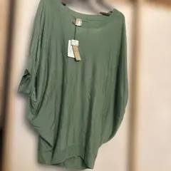 Item thumbnail for item 30c79012-c2ea-40e6-98b8-ea911455d30e