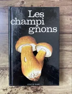 Item thumbnail for item 8f1840c2-0835-4b8c-b6cb-5110a905a98d