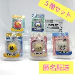 TRUZ ブリスターチャームコレクション セット LINE FRIENDS