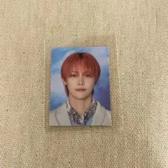 &TEAM NICHOLAS 2025年シーグリ