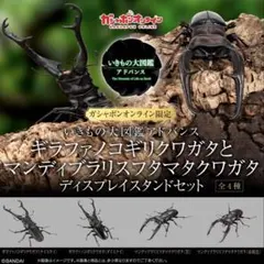 いきもの大図鑑アドバンス　ディスプレイスタンドセット