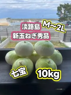 タイなす マクアポ 5kgゴーヤ4本プリッキーヌ1000円分 - メルカリ