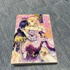 寡黙な溺愛 ～初恋王子の過保護な蜜月～