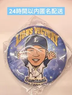 埼玉西武ライオンズ ビクトリーガチャ 炭谷銀仁朗 缶バッジ