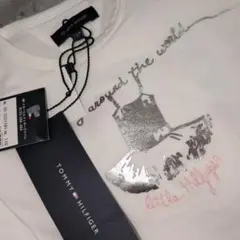 Item thumbnail for item 96cc9ec8-ca0f-481b-81eb-cab13384d67f