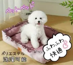 大特価‼️ペットハウスペットベッド小型猫犬用 滑り止め＆防湿 手洗い＆洗濯機対応のサムネイル