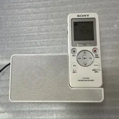 SONY ICZ-R100のサムネイル