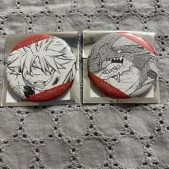 フェアリーテイル ガチャトク 缶バッジ ナツ&ルーシィ - メルカリ