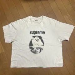 Item thumbnail for item 6c806a8d-bce5-4e5f-968e-eca372631c11