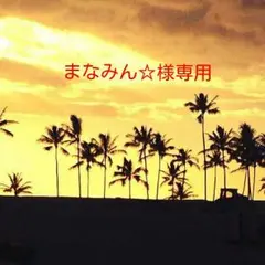 《まなみん☆様専用　お取り置き中》