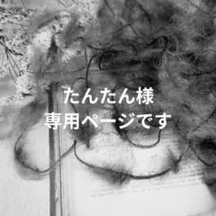 〚 たんたん様専用ページ 〛