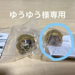 Item thumbnail for item c24e16ed-31e0-406a-a7cb-f98d2a463622