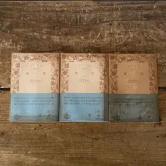 岩波文庫 文学・小説