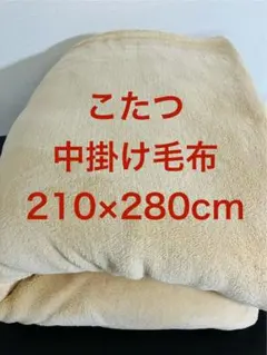 こたつ中掛け毛布 ベージュ色