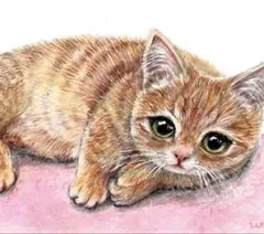 A5サイズ マンチカン 子猫 鉛筆画 原画 - メルカリ