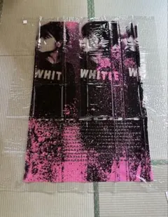 Item thumbnail for item 3d8242b3-2549-4e55-98b4-85dc60519775