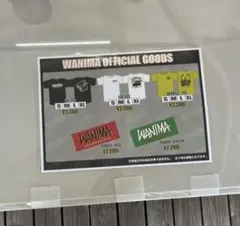 【未開封】WANIMA Tシャツ　XL 蛍光色