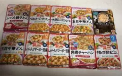 【和光堂】WAKODO 離乳食 10袋セット ベビーフード