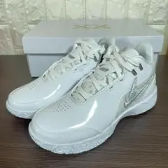 新品 Nike ナイキ LeBron FJ1567-102 26.0 - メルカリ