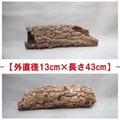 B113 ポルトガル産 キャノンコルク コルク樹皮 コルク板　バージンコルク B163 ポルトガル産 キャノン型コルク コルク樹皮 コルク板 バージン