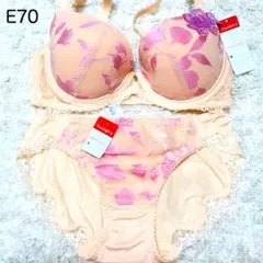 トリンプ チャーミングラマーPremium ブラ&ショーツセット E70
