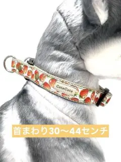 犬用品　首輪　ハンドメイド