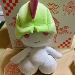 ポケモン✳︎ぬいぐるみ