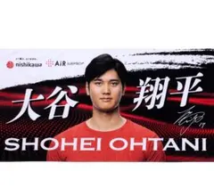 新品未使用 未開封 おまけ付 大谷翔平 西川 タオル５種セット 等身大バスタオル 大谷翔平選手の等身大タオルを発売！ 寝具メーカーの西川 - WWDJAPAN