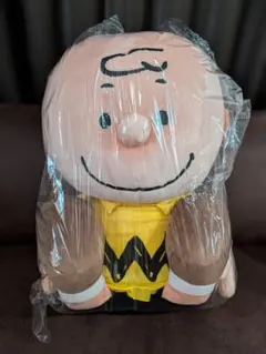 チャーリー・ブラウン ぬいぐるみ ピーナッツ ナカジマコーポレーショ　特大　2Ｌ チャーリー・ブラウン ぬいぐるみ ピーナッツ ナカジマコーポレーショ