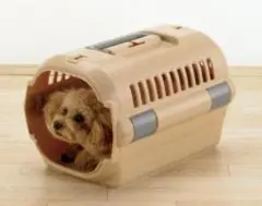 Item thumbnail for item b9298daf-a3cc-4f8e-b97e-58bdfb920c00