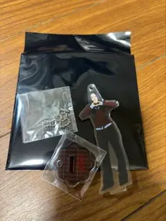 TWICE POPUP THIS IS FOR ライブグッズ チェヨン