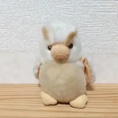 イワトビペンギン マスコットのサムネイル