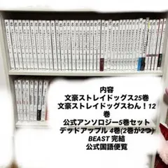 文豪ストレイドッグス25巻＋文豪ストレイドッグスわん！12巻＋11巻セット