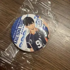 影山飛雄・宮侑 缶バッジセット