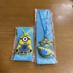 UNIVERSAL STUDIOS JAPAN　ピカピカチャーム