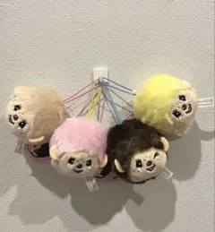 【新品】【お値下げ】モンチッチ　フェイスマスコット　４個セット　最短当日投函可能