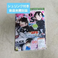 少年サンデーS 2026年7月号 名探偵コナン付録カード付 - メルカリ