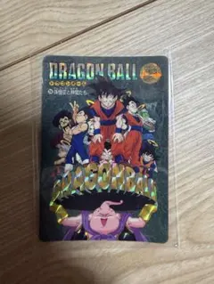 ドラゴンボール 初期 PPカード コレクション アルバム アマダ 廃盤 激