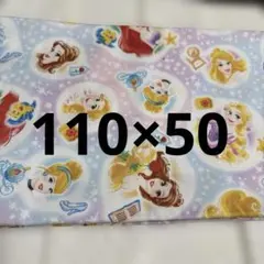 ディズニープリンセス 生地 はぎれ