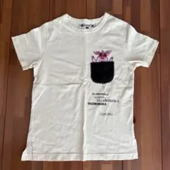 2026年最新】アルベロベロ tシャツの人気アイテム - メルカリ