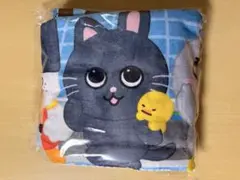 RIIZE アップグレード プレミアムシート 特典 ブランケット