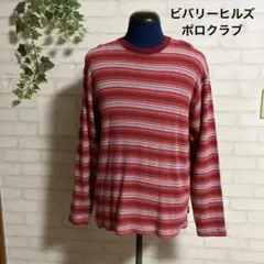 ビバリーヒルズポロクラブ  綿ニット L ポロラルフローレン好きのサムネイル