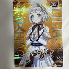 葛城リーリヤ カードフォリオ