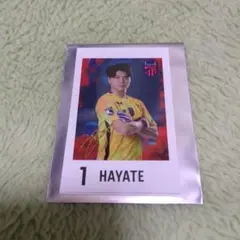 r様 リクエスト 2点 まとめ商品