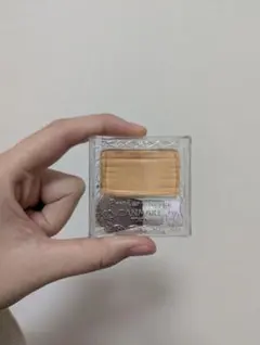 CANMAKE パウダーチーク PW40