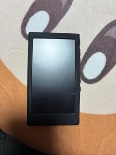 ソニー　ウォークマン　NWーA100