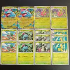 メガフシギバナex メガニウム 進化ライン