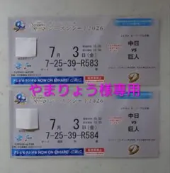 2026年最新】中日ドラゴンズ チケット シーズンシートの人気アイテム